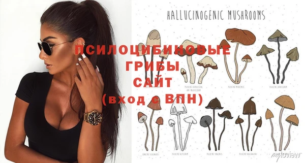 PSILOCYBIN Тихорецк